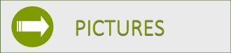 PICTURES BUTTON